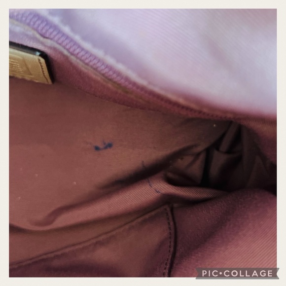 Coach Alexandra Convertible Light Gold Iridescent Shimmering Crossbody Bag - Picture 10 of 11